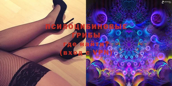 гашик Зерноград