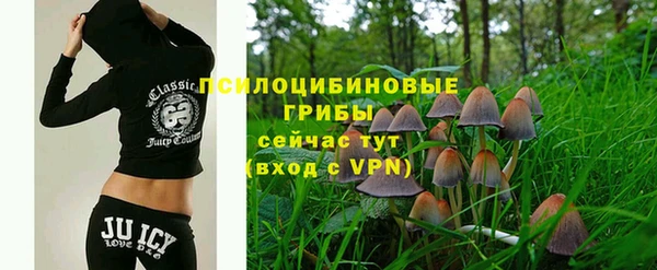 гашик Зерноград