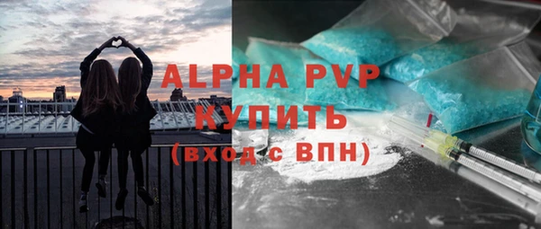 гашик Зерноград