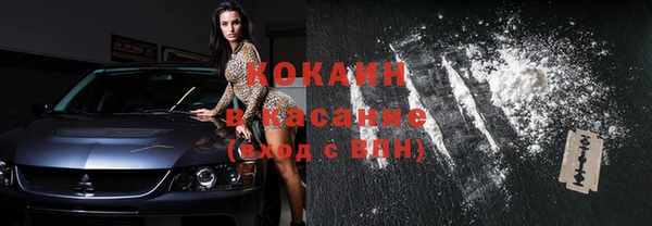 гашик Зерноград