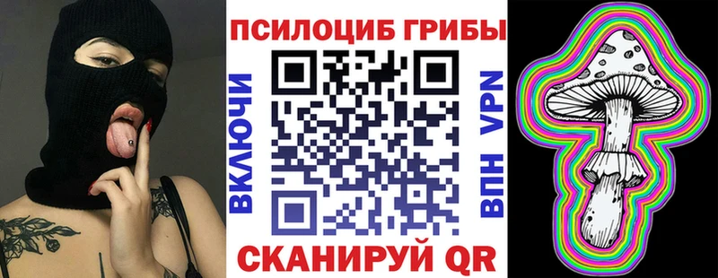 Купить где  Коряжма  Псилоцибиновые грибы мицелий 